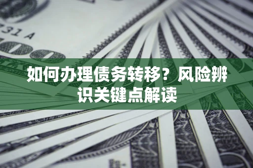 武汉如何办理债务转移?风险辨识关键点解读 武汉如何办理债务转移?风险辨识关键点解读
